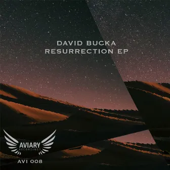 Resurrection by David Bucka