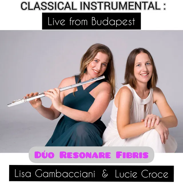 Contrabajeando ( ' Doublebassing ' Concert Piano and Flute ) [Live]