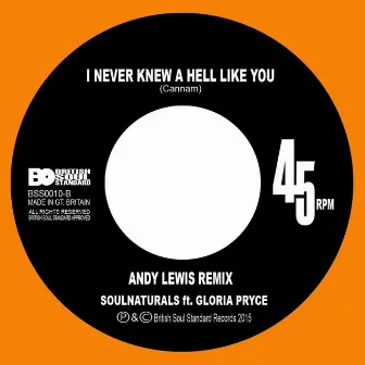 I Never Knew a Hell Like You (Andy Lewis Remix) by Andy Lewis