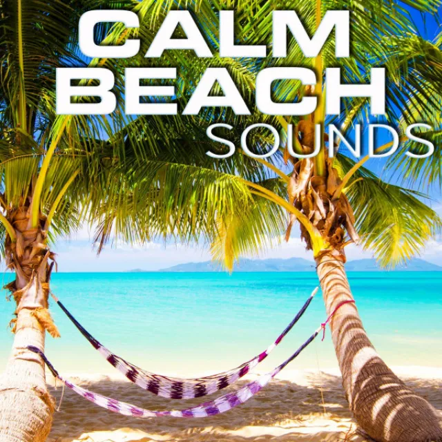 Calm Beach Sounds