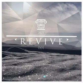 REVIVE 001 by REVIVE Collective