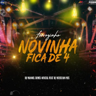 Forrozinho Novinha Fica de 4 by DJ Manoel Remix Oficial