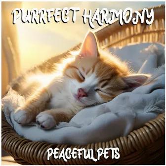 Purrfect Harmony by Peaceful Pets