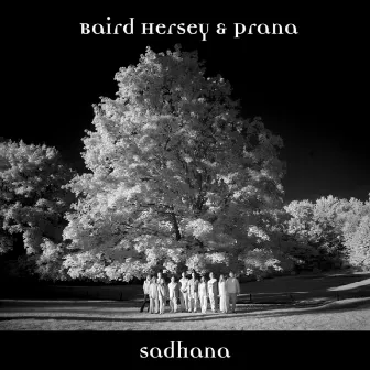 Sadhana by Baird Hersey & Prana