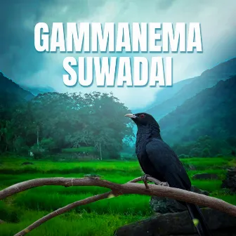 Gammanema Suwadai by Udesh Indula