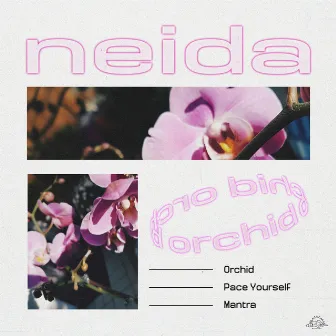 Orchid by Neida