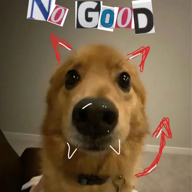 No Good