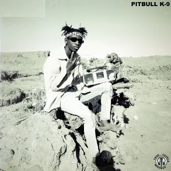 Ekasi by Pitbull K-9