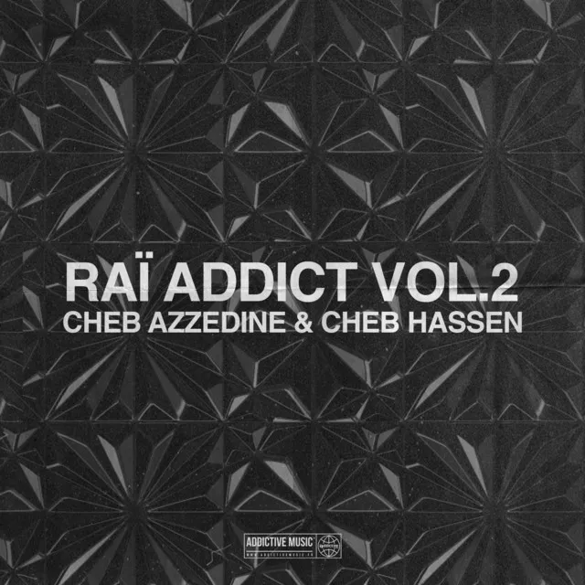 Raï Addict, Vol. 2