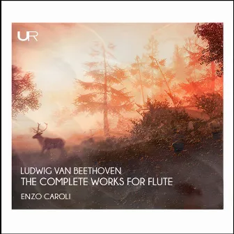 Beethoven: The Complete Works for Flute by Enzo Caroli