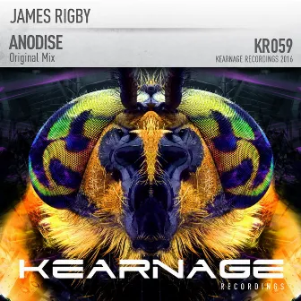 Anodise by James Rigby