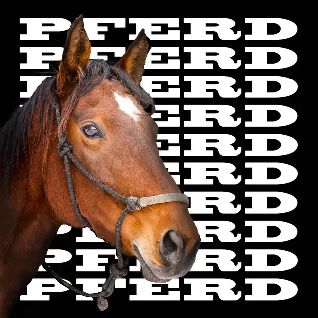 Pferd