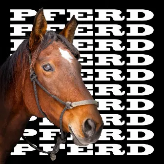 Pferd by Bully P