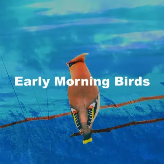 Early Morning Birds by Birds 3AM