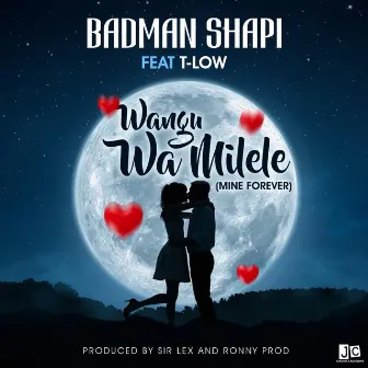 Wamilele (feat. T-Low) by Badman Shapi