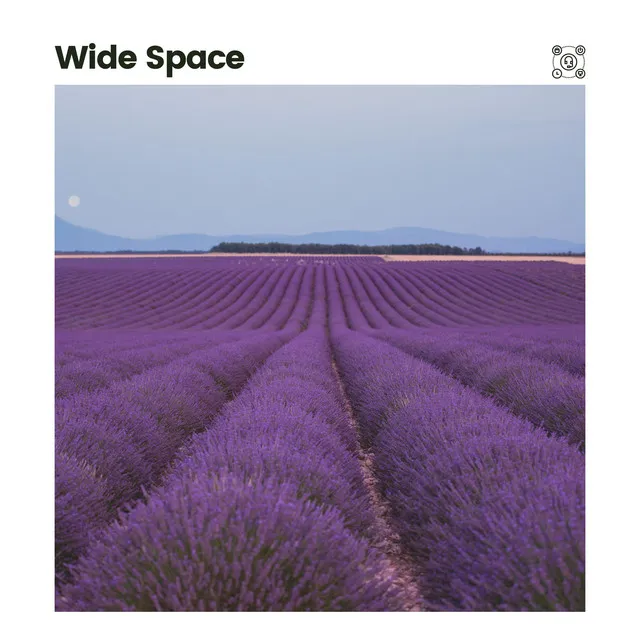 Wide Space