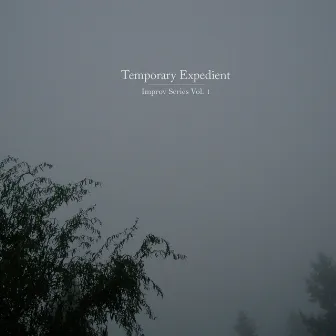 Temporary Expedient: Improv Series Vol. 1 by Jatun