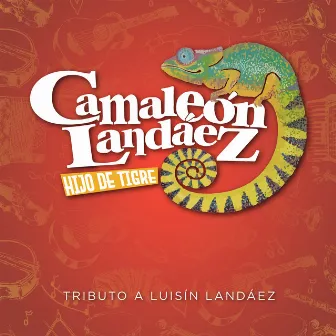 Hijo De Tigre Tributo a Luisín Landáez by Camaleón Landáez