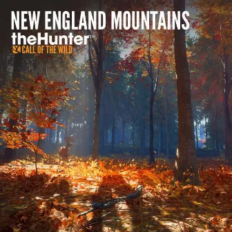 New England Mountains by 