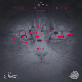 You Don't Know (album Sampler) by Coyu