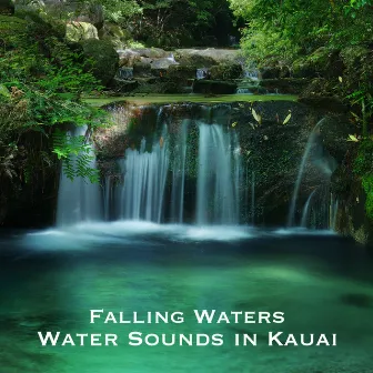 Water Sounds in Kauai by Falling Waters