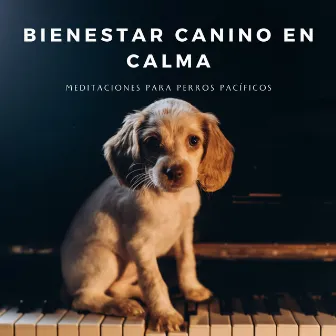 Bienestar Canino En Calma: Meditaciones Para Perros Pacíficos by In Sonus 360