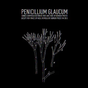 Penicillium Glaucum by Giorgio Presti