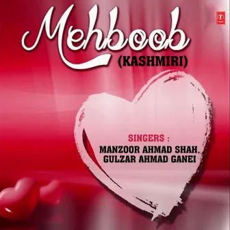 Mehboob by Manzoor Ahmad Shah