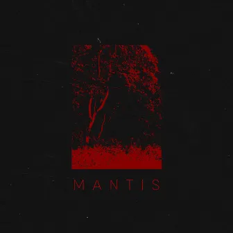 Mantis by Half Me