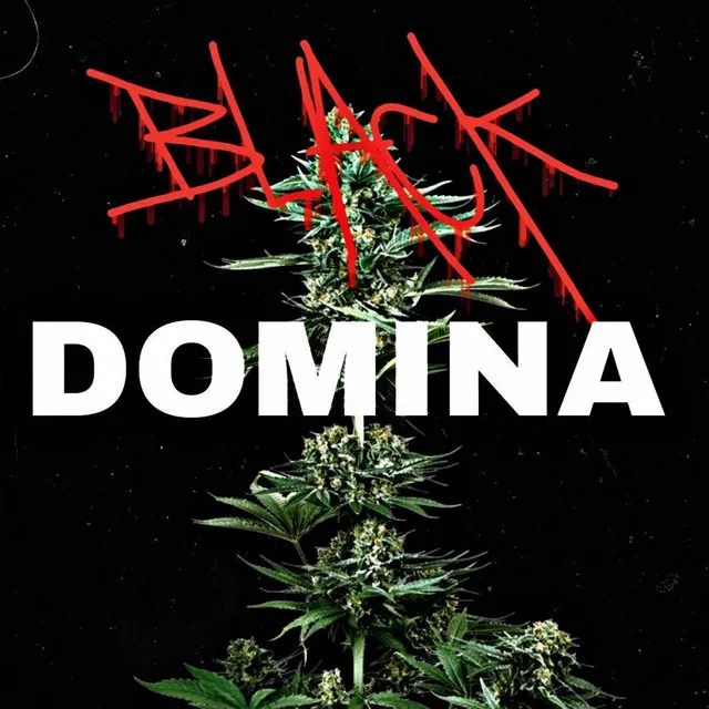 Black Domina