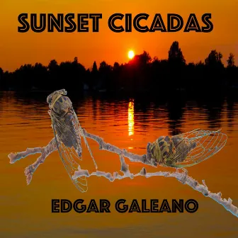 Sunset Cicadas by Edgar Galeano