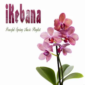 Ikebana (Peaceful Spring Music Playlist) by Riccardo Zappa