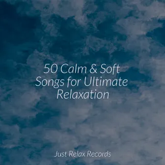 50 Calm & Soft Songs for Ultimate Relaxation by Musica Romantica Ensemble