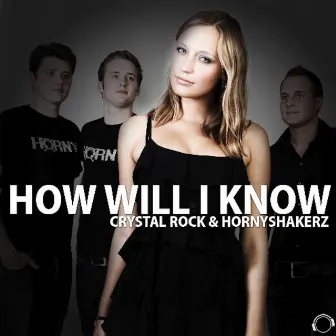 How Will I Know by Unknown Artist