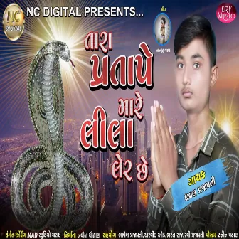 Tara Pratape Mare Lila Ler Che by Dhaval Prajapati