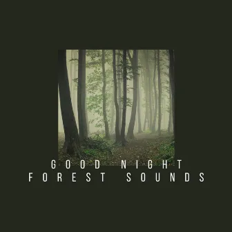 Good Night Forest Sounds by Epic Nature