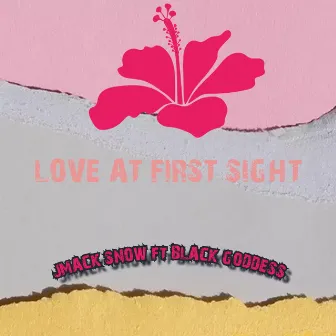 Love at first sight by Jay Mack Snow