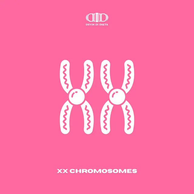 XX Chromosomes