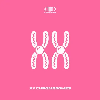 XX Chromosomes by Qvarismatik