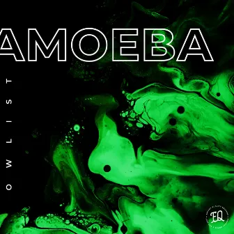 Amoeba by Owlist