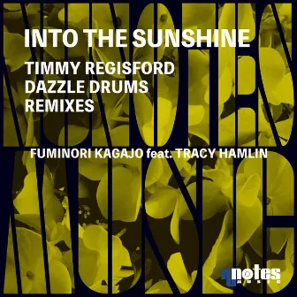 Into The Sunshine (Timmy Regisford & Dazzle Drums Remixes) by Fuminori Kagajo