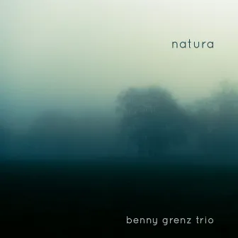 Natura by Benny Grenz Trio