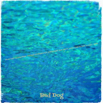 Flow Like Water by Bad Dog