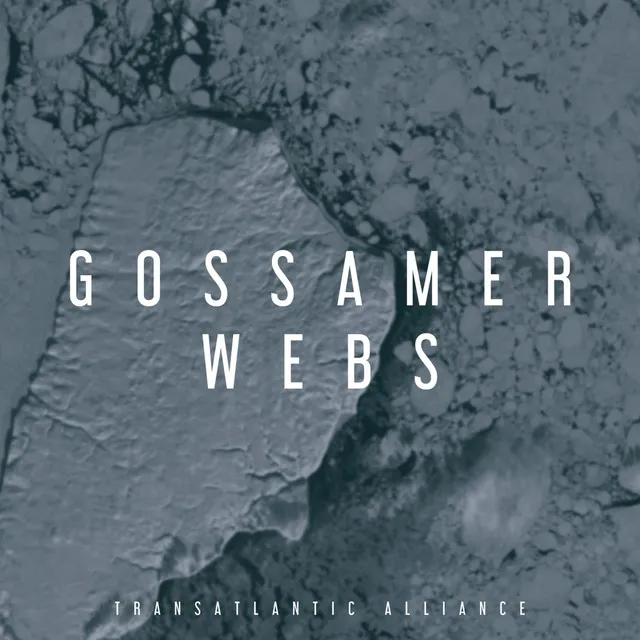 Gossamer Webs