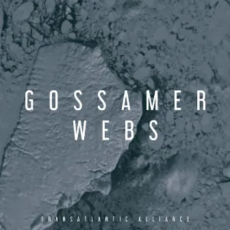 Gossamer Webs by Transatlantic Alliance