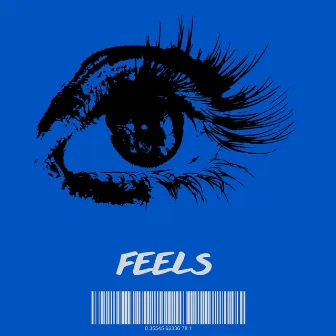 FEELS by Pankaj