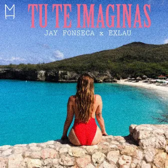 Tu Te Imaginas by Jay Fonseca