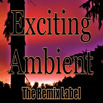 Exciting Ambient (Progressive Chillout Music Album Plus Bonus Megamix) by Deepient