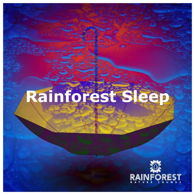 Rainforest Sleep