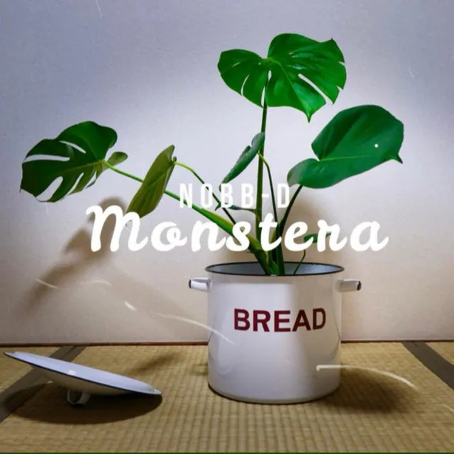 Monstera